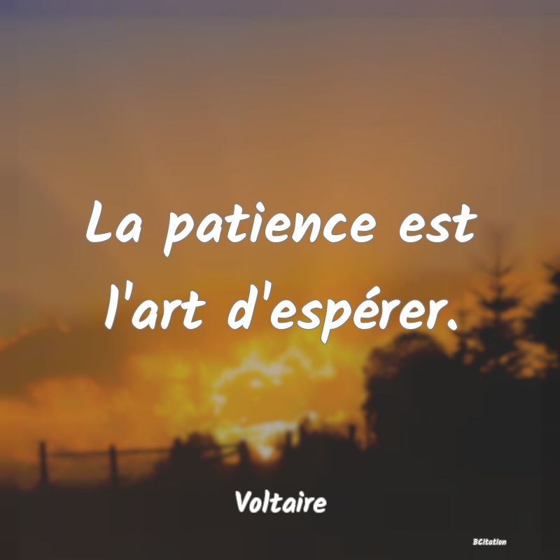 image de citation: La patience est l'art d'espérer.