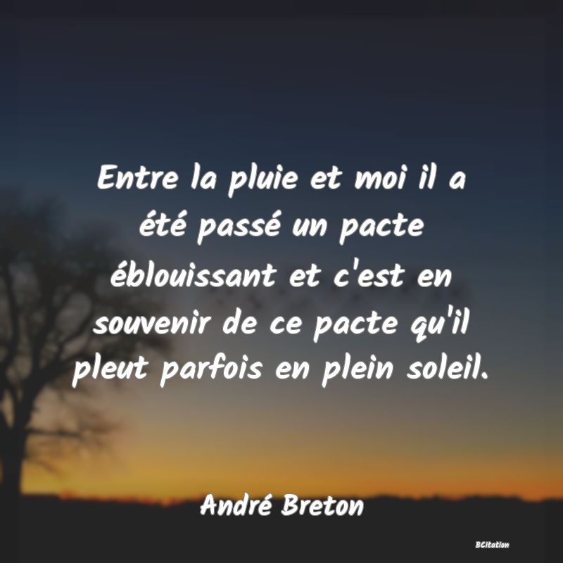 Belle Citation - Entre la pluie et moi il a été passé un pacte éblouissant et c'est en souvenir de ce pacte qu'il pleut parfois en plein soleil. - André Breton