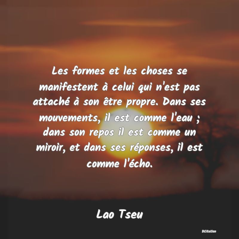 image de citation: Les formes et les choses se manifestent à celui qui n'est pas attaché à son être propre. Dans ses mouvements, il est comme l'eau ; dans son repos il est comme un miroir, et dans ses réponses, il est comme l'écho.