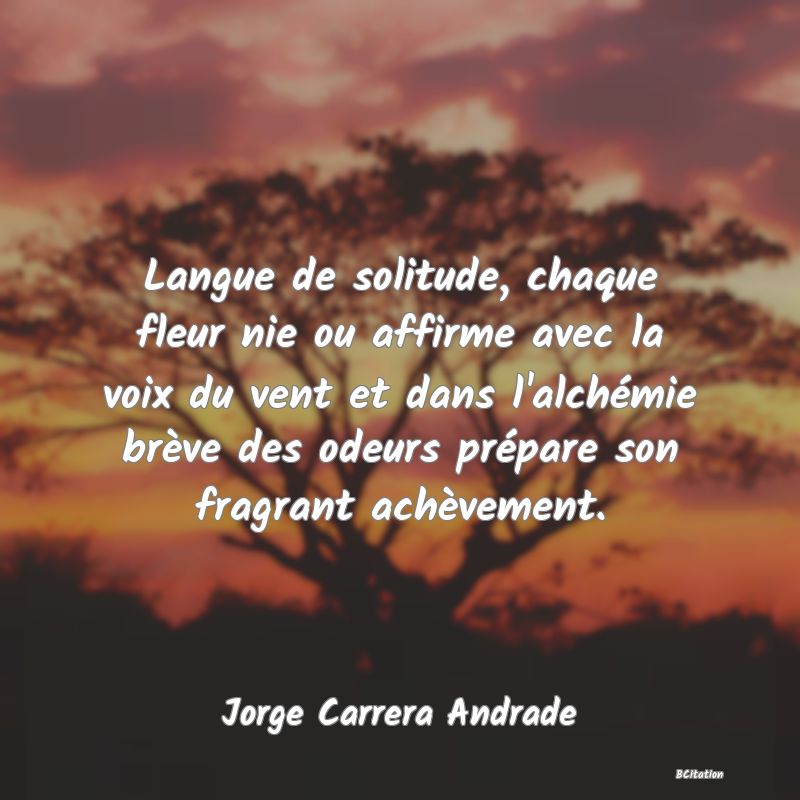 image de citation: Langue de solitude, chaque fleur nie ou affirme avec la voix du vent et dans l'alchémie brève des odeurs prépare son fragrant achèvement.