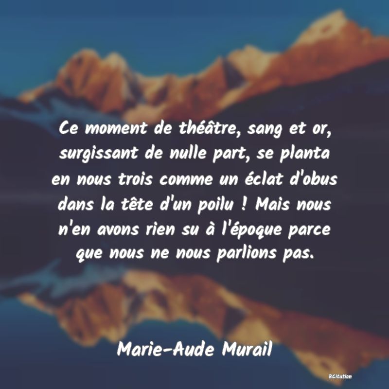 image de citation: Ce moment de théâtre, sang et or, surgissant de nulle part, se planta en nous trois comme un éclat d'obus dans la tête d'un poilu ! Mais nous n'en avons rien su à l'époque parce que nous ne nous parlions pas.