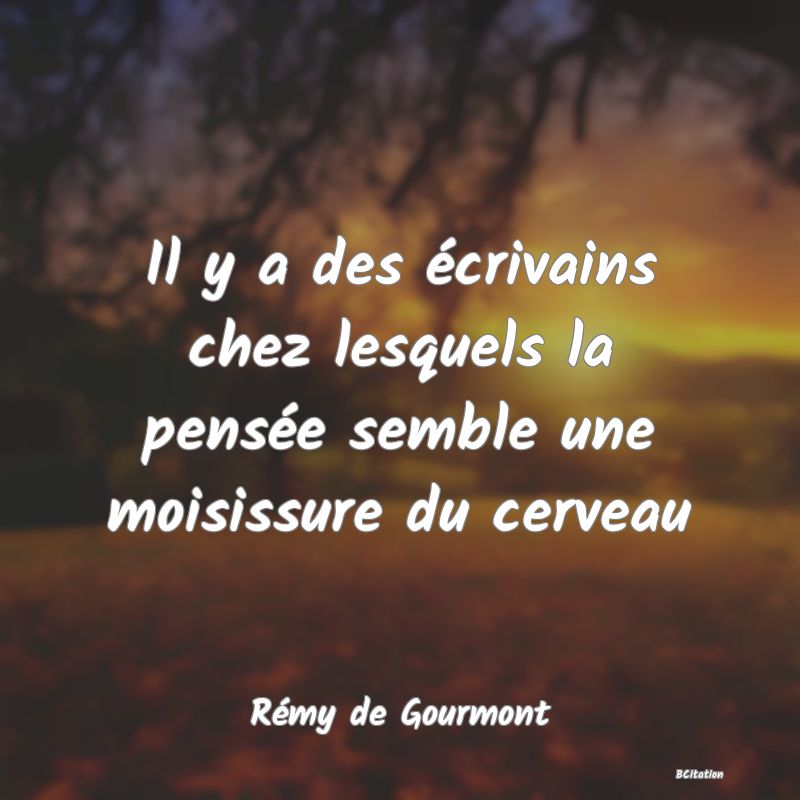 image de citation: Il y a des écrivains chez lesquels la pensée semble une moisissure du cerveau