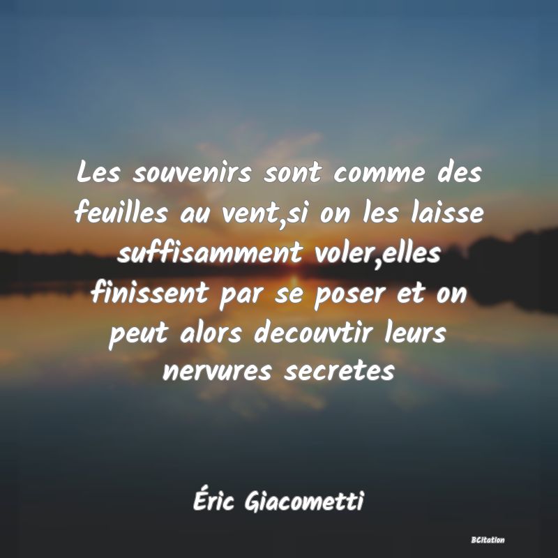 image de citation: Les souvenirs sont comme des feuilles au vent,si on les laisse suffisamment voler,elles finissent par se poser et on peut alors decouvtir leurs nervures secretes