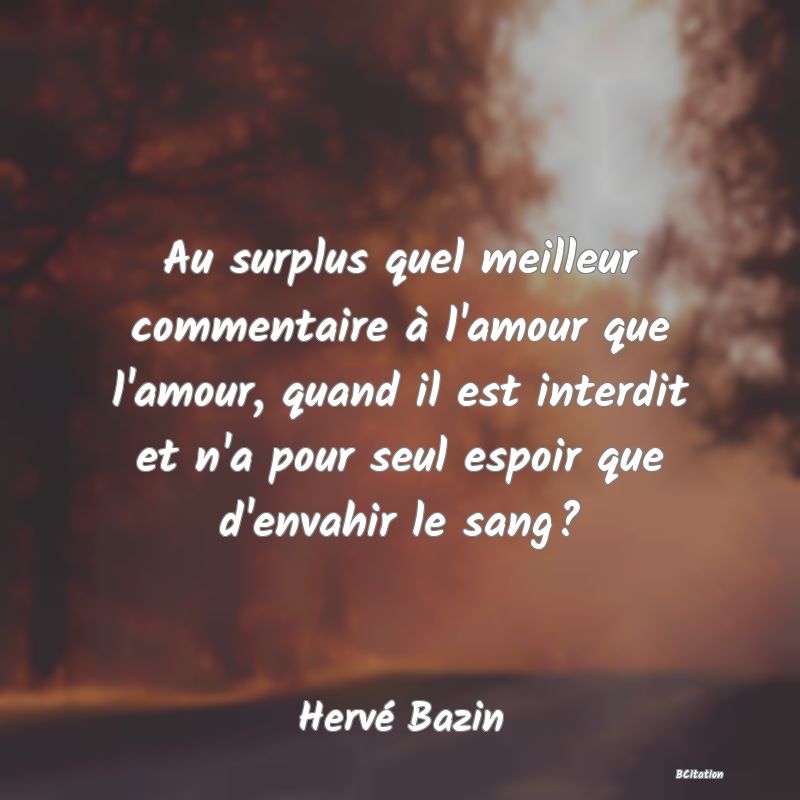 image de citation: Au surplus quel meilleur commentaire à l'amour que l'amour, quand il est interdit et n'a pour seul espoir que d'envahir le sang?