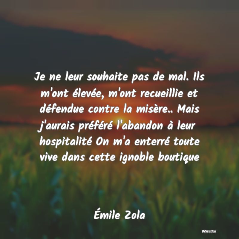 image de citation: Je ne leur souhaite pas de mal. Ils m'ont élevée, m'ont recueillie et défendue contre la misère.. Mais j'aurais préféré l'abandon à leur hospitalité On m'a enterré toute vive dans cette ignoble boutique