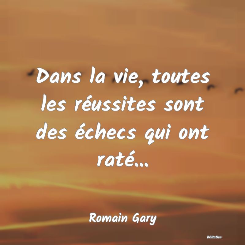 image de citation: Dans la vie, toutes les réussites sont des échecs qui ont raté...