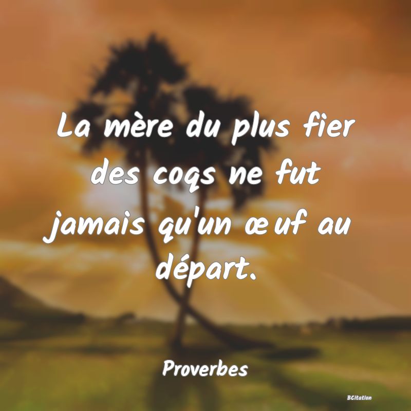 Belle Citation - La mère du plus fier des coqs ne fut jamais qu'un œuf au départ. - Proverbes