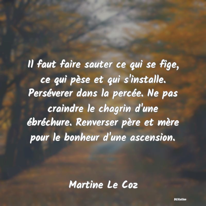 image de citation: Il faut faire sauter ce qui se fige, ce qui pèse et qui s'installe. Perséverer dans la percée. Ne pas craindre le chagrin d'une ébréchure. Renverser père et mère pour le bonheur d'une ascension.