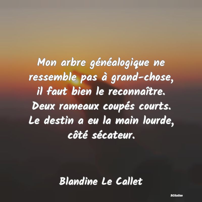 image de citation: Mon arbre généalogique ne ressemble pas à grand-chose, il faut bien le reconnaître. Deux rameaux coupés courts. Le destin a eu la main lourde, côté sécateur.