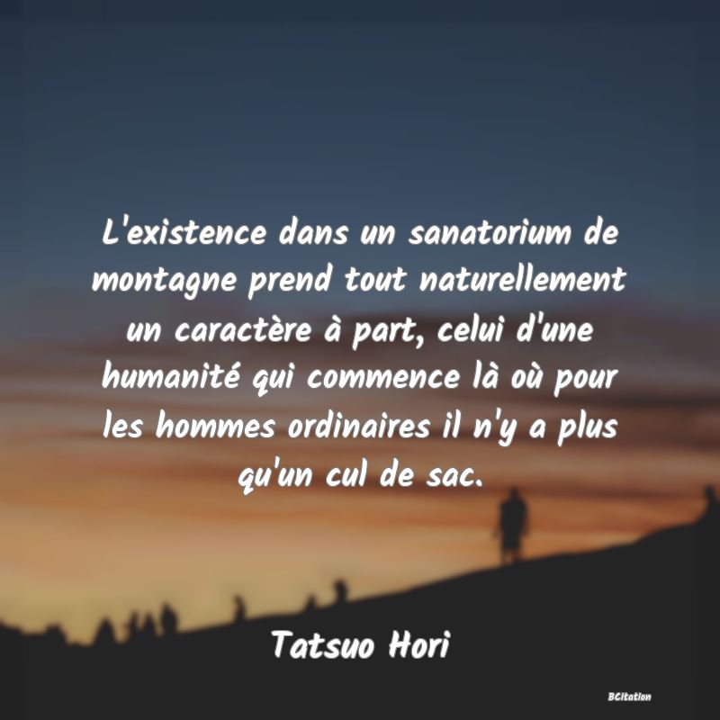 image de citation: L'existence dans un sanatorium de montagne prend tout naturellement un caractère à part, celui d'une humanité qui commence là où pour les hommes ordinaires il n'y a plus qu'un cul de sac.