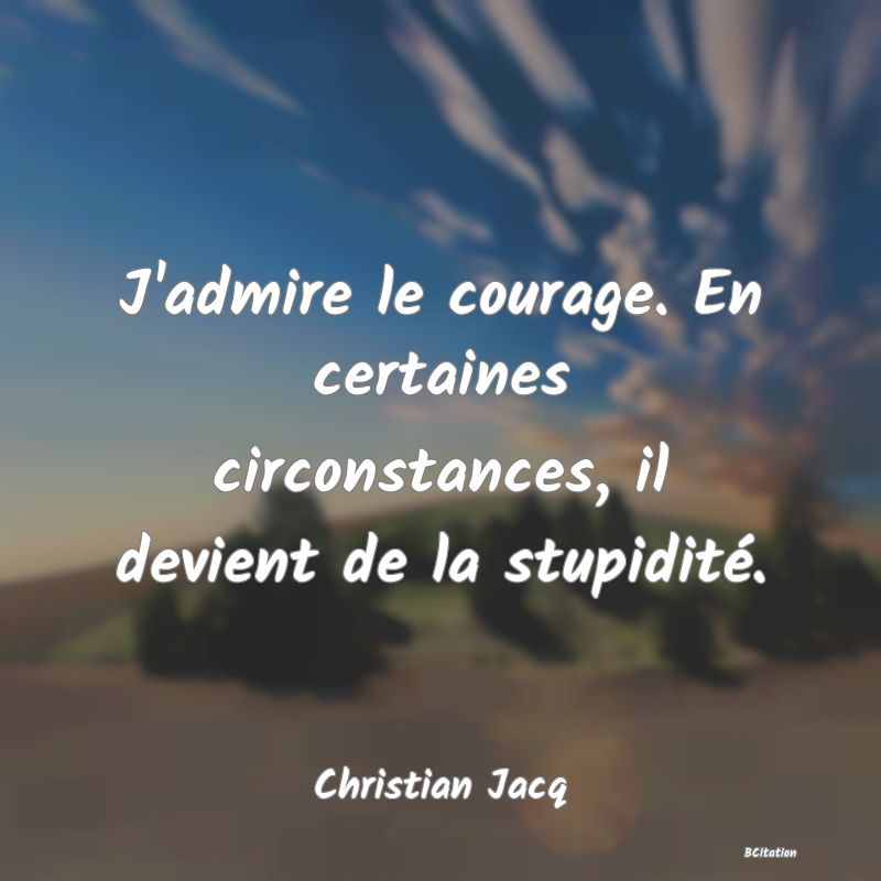 image de citation: J'admire le courage. En certaines circonstances, il devient de la stupidité.
