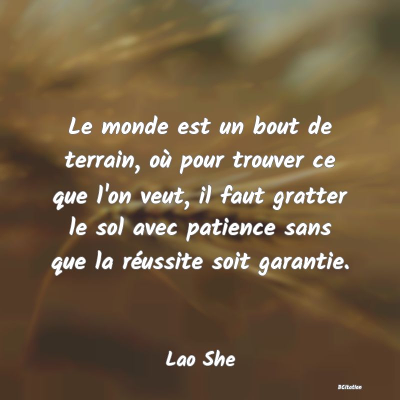 image de citation: Le monde est un bout de terrain, où pour trouver ce que l'on veut, il faut gratter le sol avec patience sans que la réussite soit garantie.