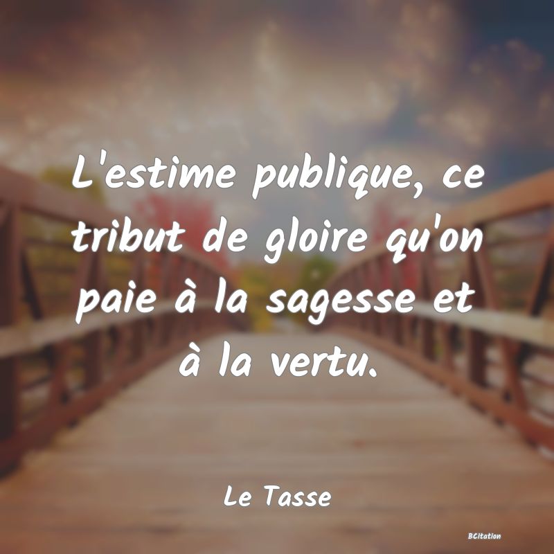 Belle Citation - L'estime publique, ce tribut de gloire qu'on paie à la sagesse et à la vertu. - Le Tasse