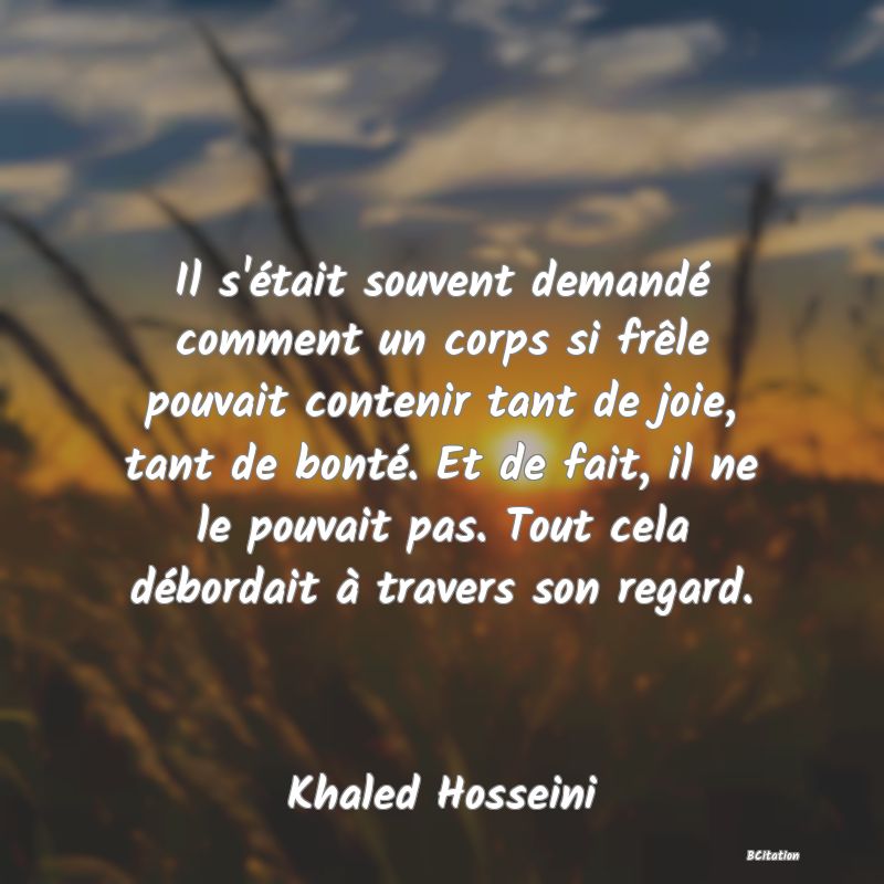 image de citation: Il s'était souvent demandé comment un corps si frêle pouvait contenir tant de joie, tant de bonté. Et de fait, il ne le pouvait pas. Tout cela débordait à travers son regard.