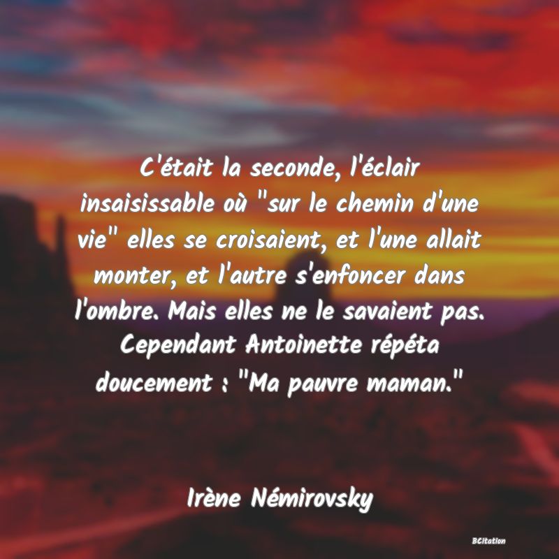 image de citation: C'était la seconde, l'éclair insaisissable où  sur le chemin d'une vie  elles se croisaient, et l'une allait monter, et l'autre s'enfoncer dans l'ombre. Mais elles ne le savaient pas. Cependant Antoinette répéta doucement :  Ma pauvre maman. 