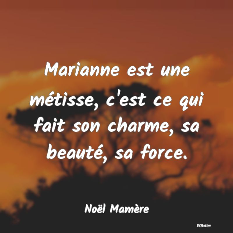 Belle Citation - Marianne est une métisse, c'est ce qui fait son charme, sa beauté, sa force. - Noël Mamère