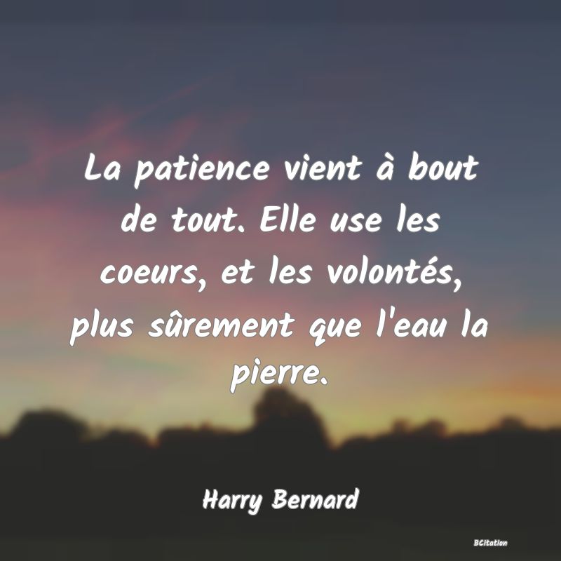 image de citation: La patience vient à bout de tout. Elle use les coeurs, et les volontés, plus sûrement que l'eau la pierre.