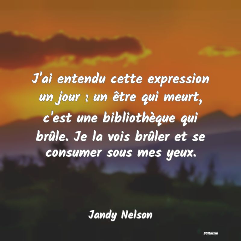 image de citation: J'ai entendu cette expression un jour : un être qui meurt, c'est une bibliothèque qui brûle. Je la vois brûler et se consumer sous mes yeux.