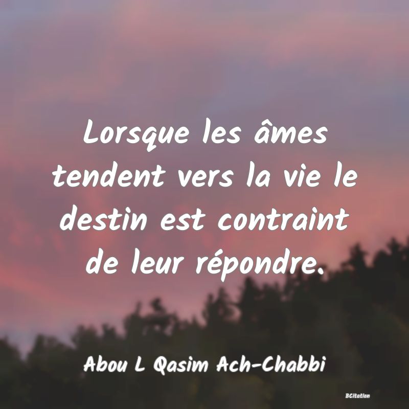 Belle Citation - Lorsque les âmes tendent vers la vie le destin est contraint de leur répondre. - Abou L Qasim Ach-Chabbi