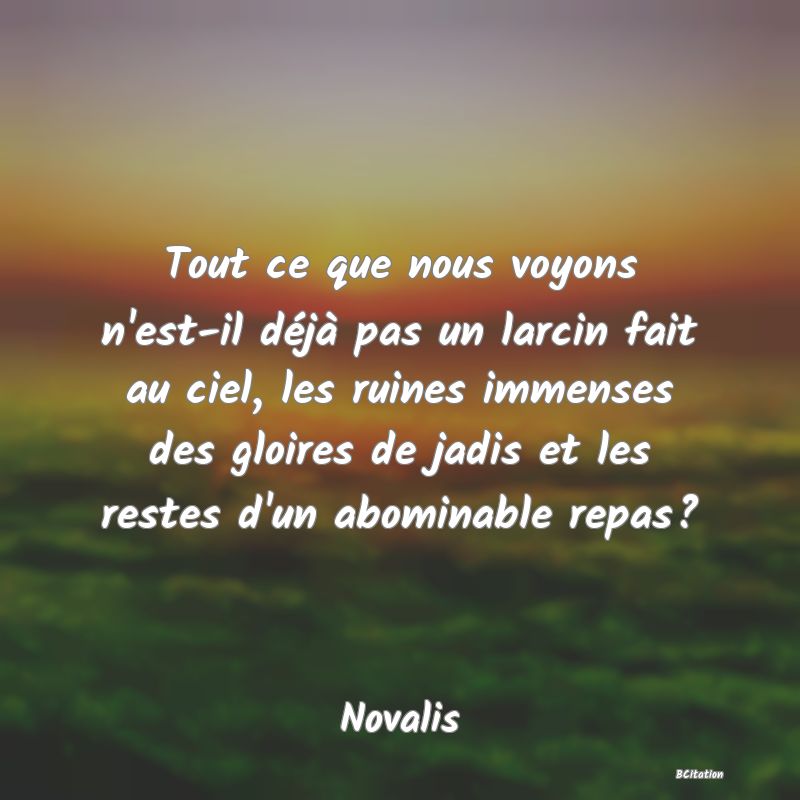 Belle Citation - Tout ce que nous voyons n'est-il déjà pas un larcin fait au ciel, les ruines immenses des gloires de jadis et les restes d'un abominable repas? - Novalis