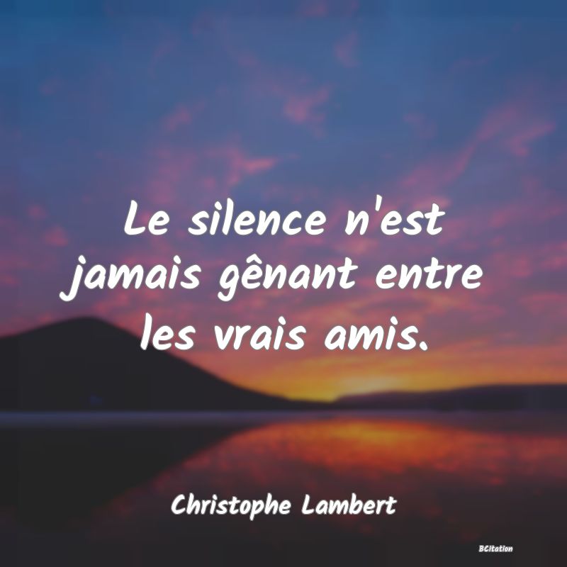 image de citation: Le silence n'est jamais gênant entre les vrais amis.