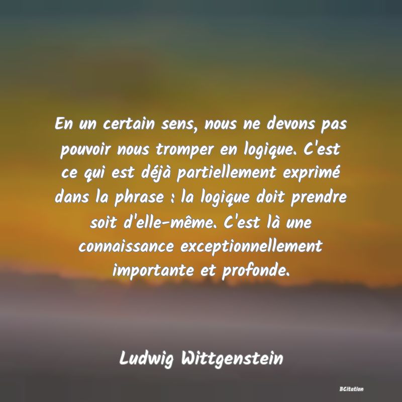 image de citation: En un certain sens, nous ne devons pas pouvoir nous tromper en logique. C'est ce qui est déjà partiellement exprimé dans la phrase : la logique doit prendre soit d'elle-même. C'est là une connaissance exceptionnellement importante et profonde.