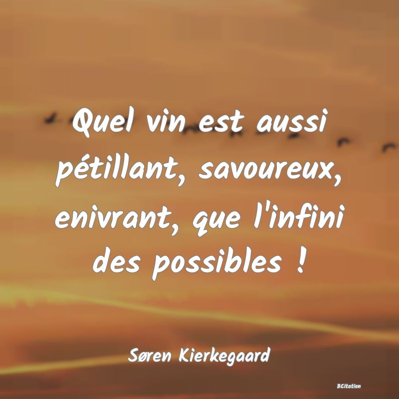 image de citation: Quel vin est aussi pétillant, savoureux, enivrant, que l'infini des possibles !