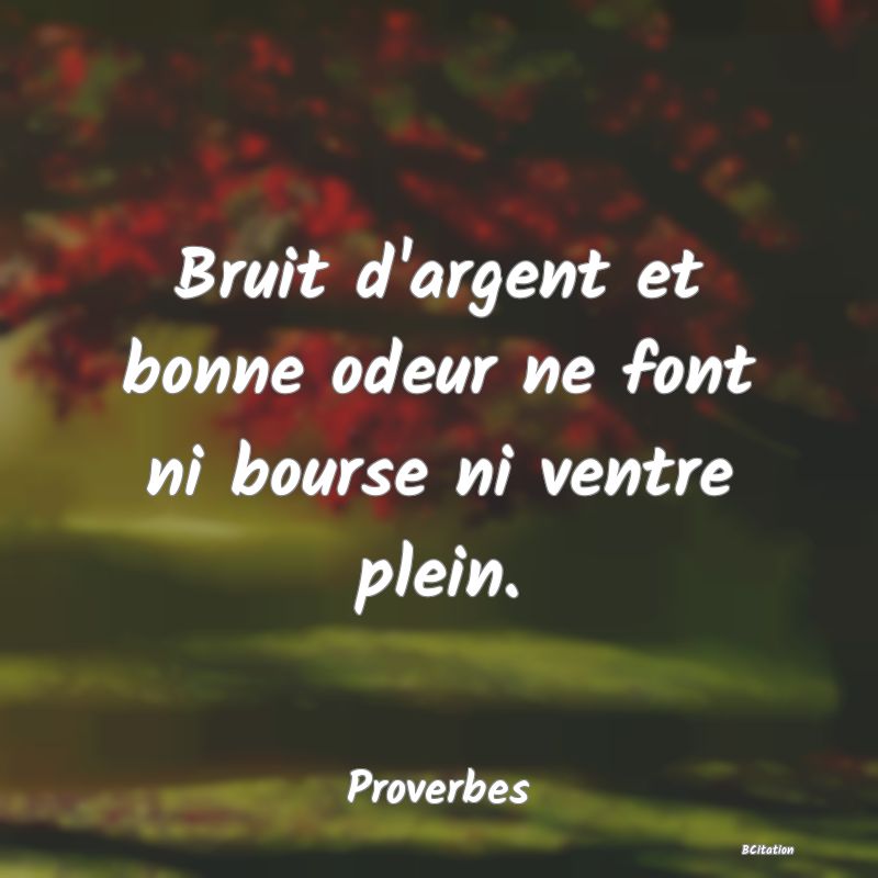 image de citation: Bruit d'argent et bonne odeur ne font ni bourse ni ventre plein.