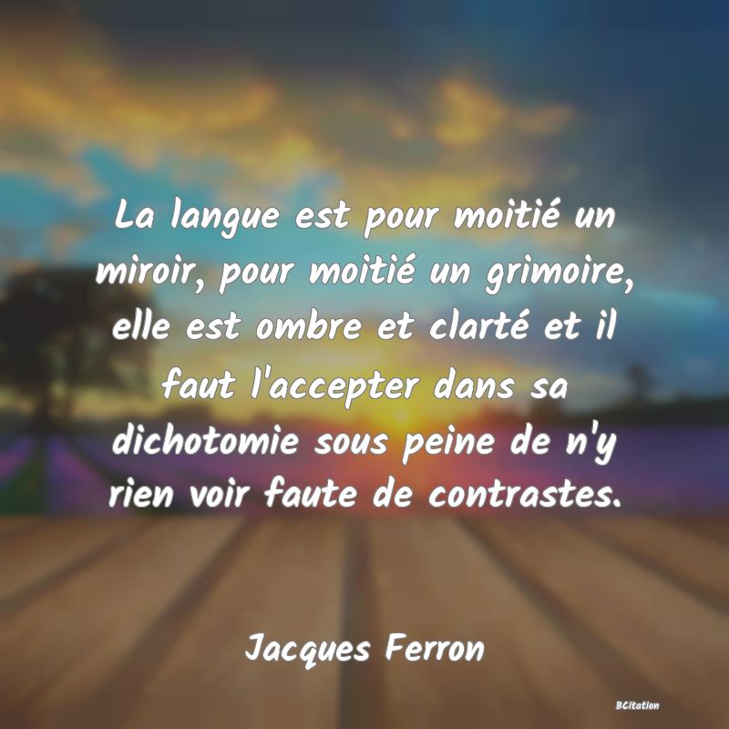 image de citation: La langue est pour moitié un miroir, pour moitié un grimoire, elle est ombre et clarté et il faut l'accepter dans sa dichotomie sous peine de n'y rien voir faute de contrastes.