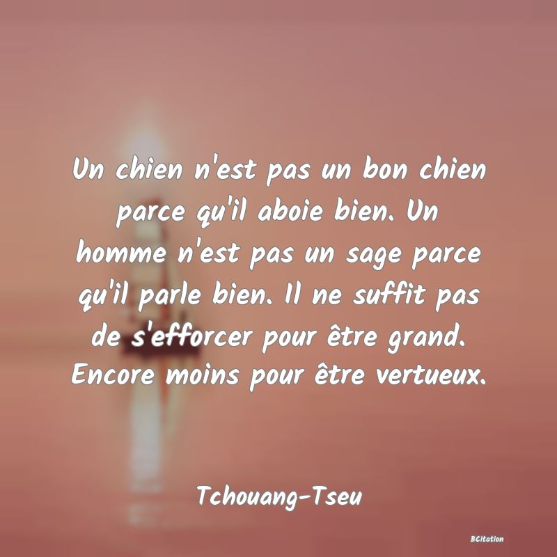 image de citation: Un chien n'est pas un bon chien parce qu'il aboie bien. Un homme n'est pas un sage parce qu'il parle bien. Il ne suffit pas de s'efforcer pour être grand. Encore moins pour être vertueux.