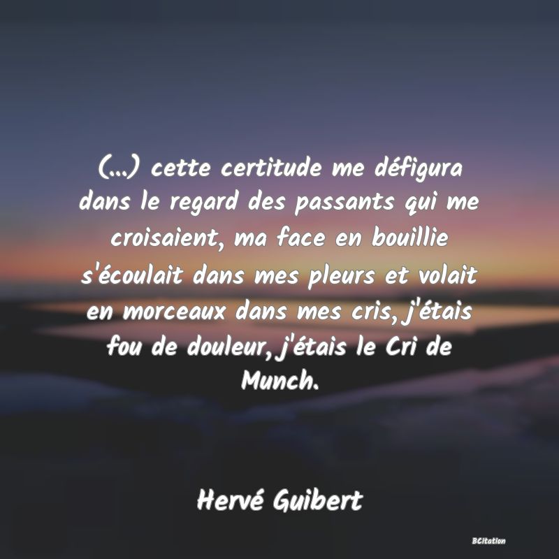 image de citation: (...) cette certitude me défigura dans le regard des passants qui me croisaient, ma face en bouillie s'écoulait dans mes pleurs et volait en morceaux dans mes cris, j'étais fou de douleur, j'étais le Cri de Munch.