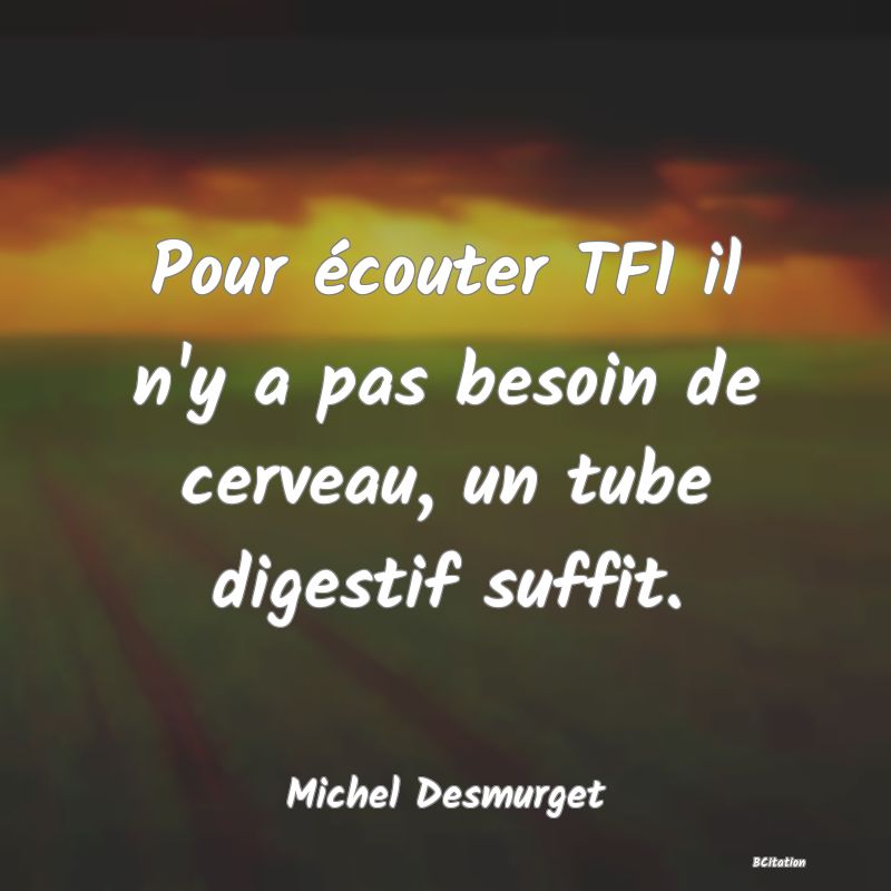 image de citation: Pour écouter TF1 il n'y a pas besoin de cerveau, un tube digestif suffit.