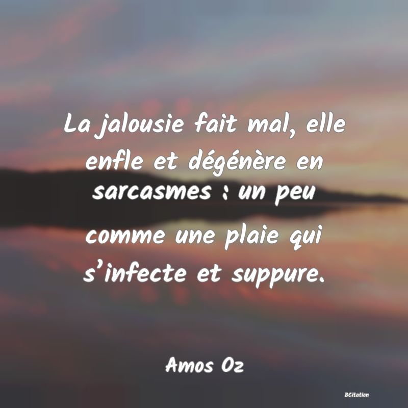 image de citation: La jalousie fait mal, elle enfle et dégénère en sarcasmes : un peu comme une plaie qui s’infecte et suppure.