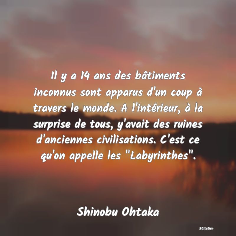 image de citation: Il y a 14 ans des bâtiments inconnus sont apparus d'un coup à travers le monde. A l'intérieur, à la surprise de tous, y'avait des ruines d'anciennes civilisations. C'est ce qu'on appelle les  Labyrinthes .