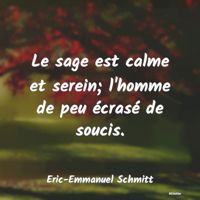 image de citation: Le sage est calme et serein; l'homme de peu écrasé de soucis.