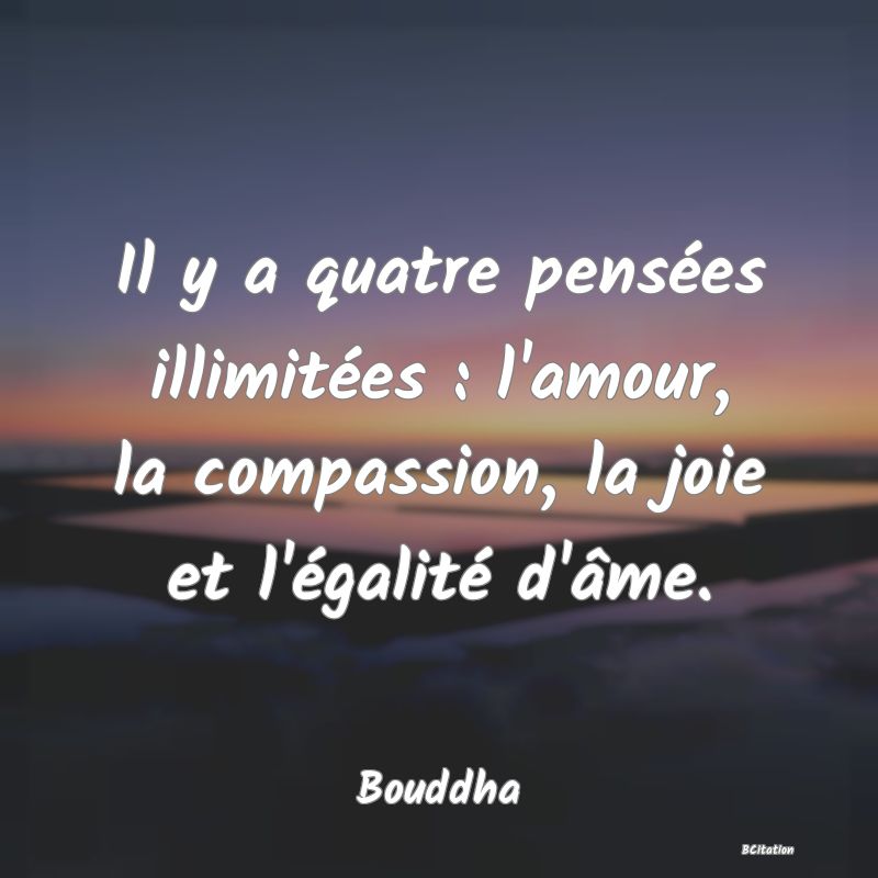 image de citation: Il y a quatre pensées illimitées : l'amour, la compassion, la joie et l'égalité d'âme.