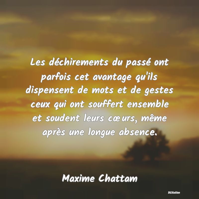 image de citation: Les déchirements du passé ont parfois cet avantage qu'ils dispensent de mots et de gestes ceux qui ont souffert ensemble et soudent leurs cœurs, même après une longue absence.