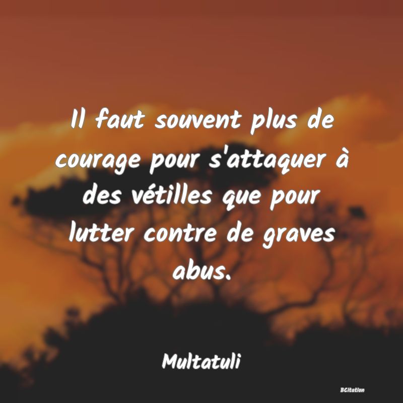 image de citation: Il faut souvent plus de courage pour s'attaquer à des vétilles que pour lutter contre de graves abus.