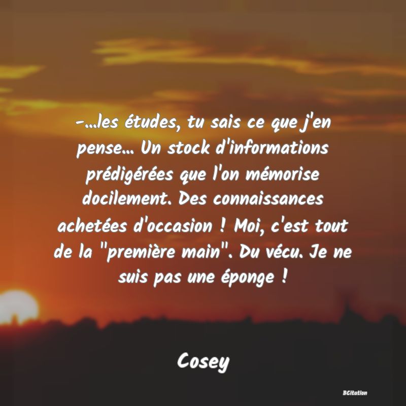 image de citation: -...les études, tu sais ce que j'en pense... Un stock d'informations prédigérées que l'on mémorise docilement. Des connaissances achetées d'occasion ! Moi, c'est tout de la  première main . Du vécu. Je ne suis pas une éponge !