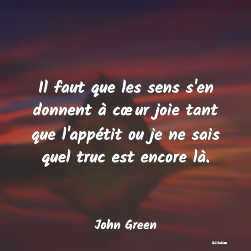 Belle Citation - Il faut que les sens s'en donnent à cœur joie tant que l'appétit ou je ne sais quel truc est encore là. - John Green