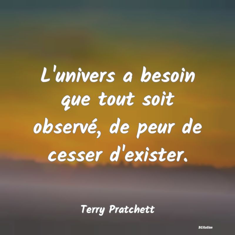 Belle Citation - L'univers a besoin que tout soit observé, de peur de cesser d'exister. - Terry Pratchett