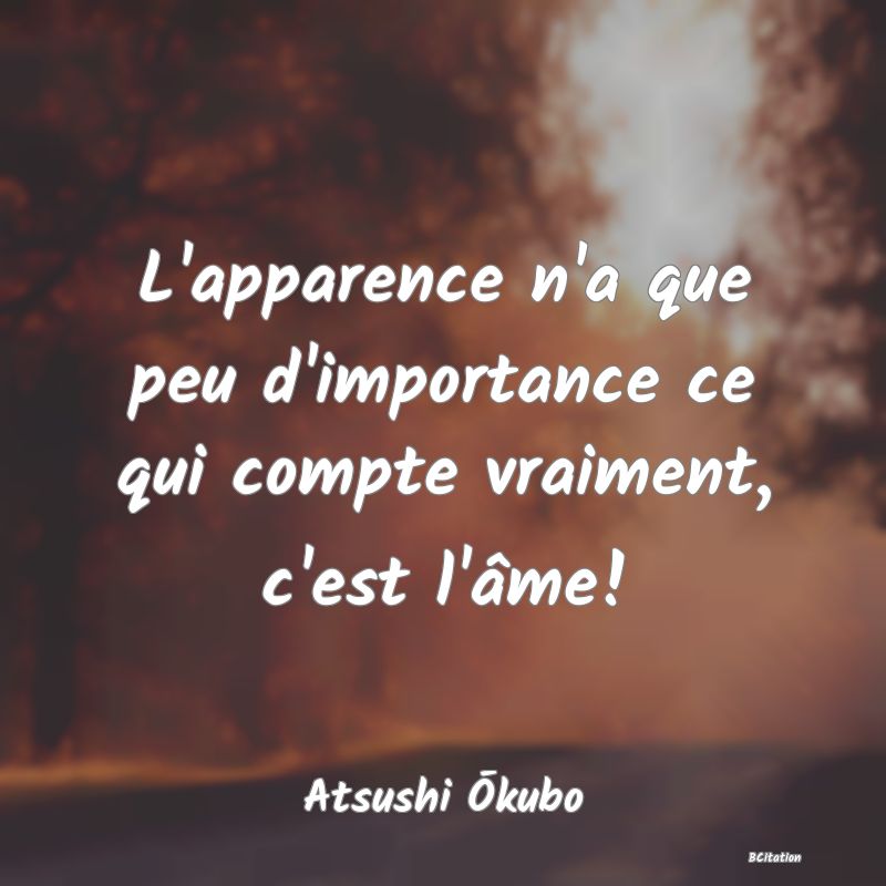 image de citation: L'apparence n'a que peu d'importance ce qui compte vraiment, c'est l'âme!