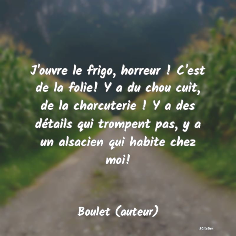 image de citation: J'ouvre le frigo, horreur ! C'est de la folie! Y a du chou cuit, de la charcuterie ! Y a des détails qui trompent pas, y a un alsacien qui habite chez moi!