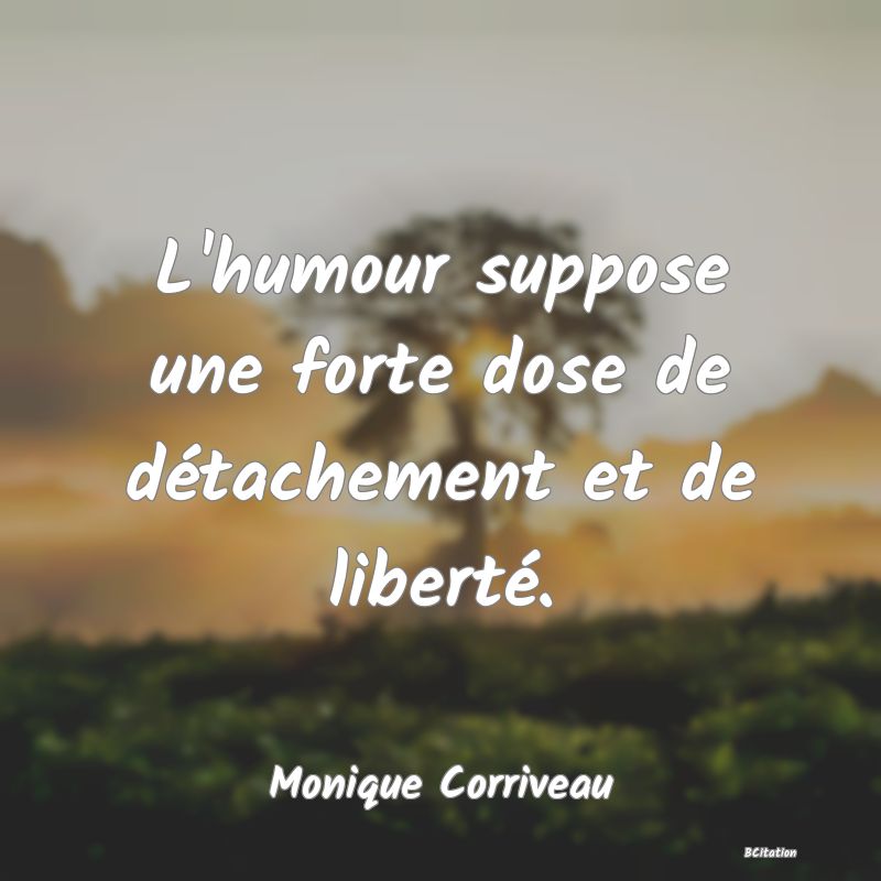 image de citation: L'humour suppose une forte dose de détachement et de liberté.