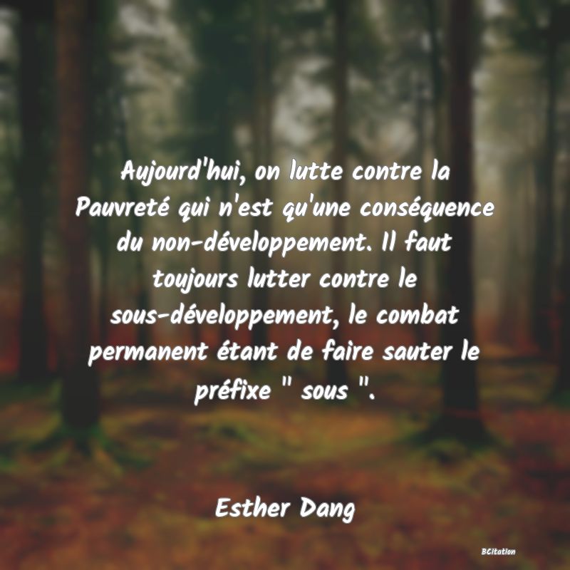 image de citation: Aujourd'hui, on lutte contre la Pauvreté qui n'est qu'une conséquence du non-développement. Il faut toujours lutter contre le sous-développement, le combat permanent étant de faire sauter le préfixe   sous  .