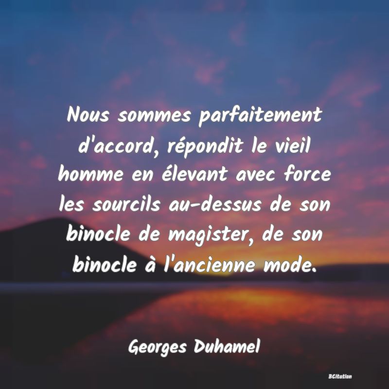 image de citation: Nous sommes parfaitement d'accord, répondit le vieil homme en élevant avec force les sourcils au-dessus de son binocle de magister, de son binocle à l'ancienne mode.