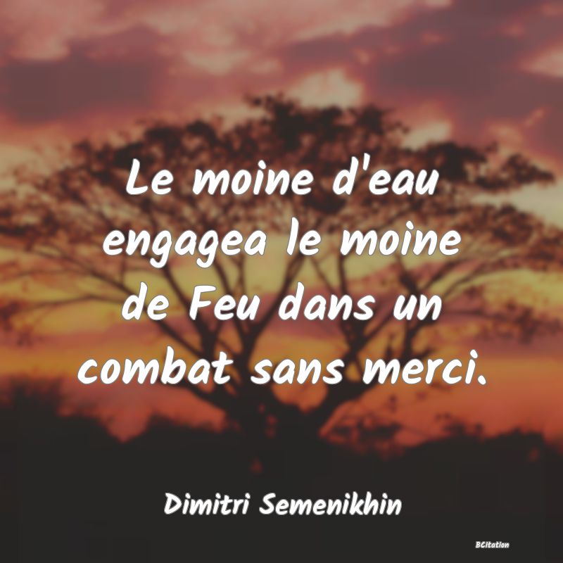 image de citation: Le moine d'eau engagea le moine de Feu dans un combat sans merci.