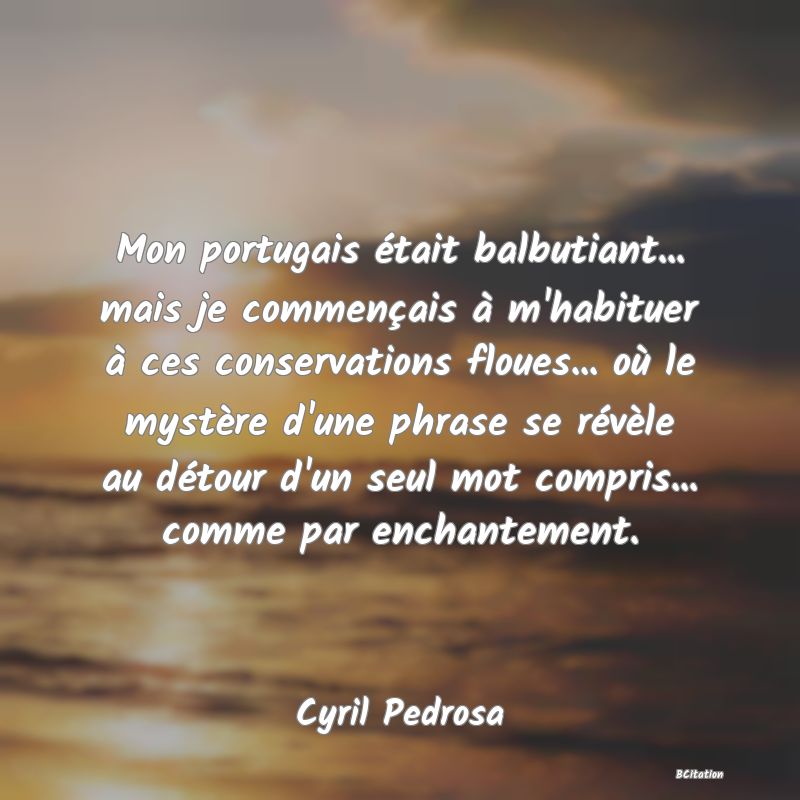 image de citation: Mon portugais était balbutiant... mais je commençais à m'habituer à ces conservations floues... où le mystère d'une phrase se révèle au détour d'un seul mot compris... comme par enchantement.