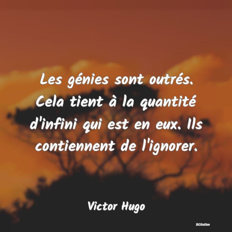 image de citation: Les génies sont outrés. Cela tient à la quantité d'infini qui est en eux. Ils contiennent de l'ignorer.