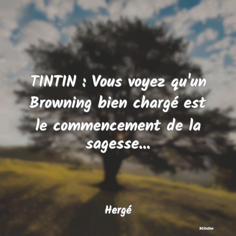 image de citation: TINTIN : Vous voyez qu'un Browning bien chargé est le commencement de la sagesse...